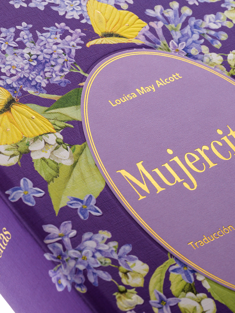 MUJERCITAS. EDICION ILUSTRADA POR MARJOLEIN BASTIN - ALMA 3