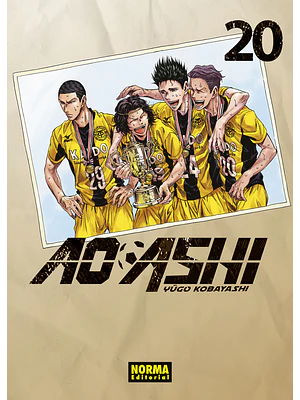 AO ASHI 20 - NORMA