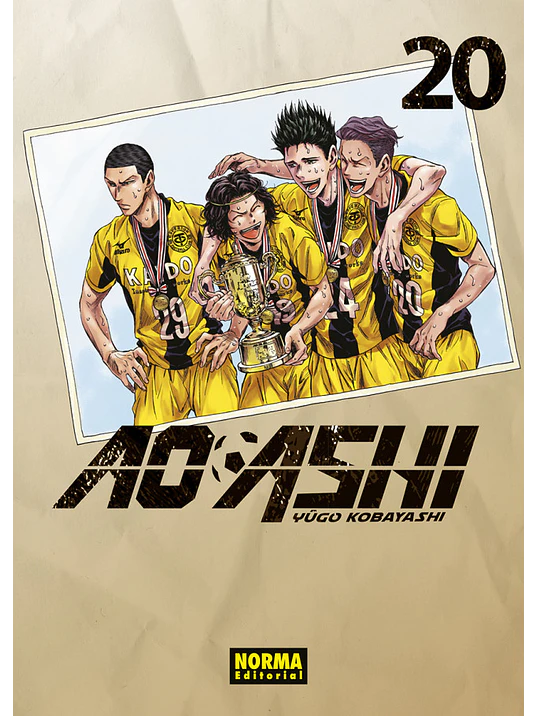 AO ASHI 20 - NORMA 1