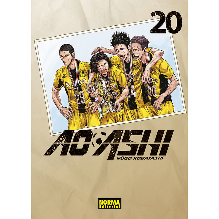 AO ASHI 20 - NORMA