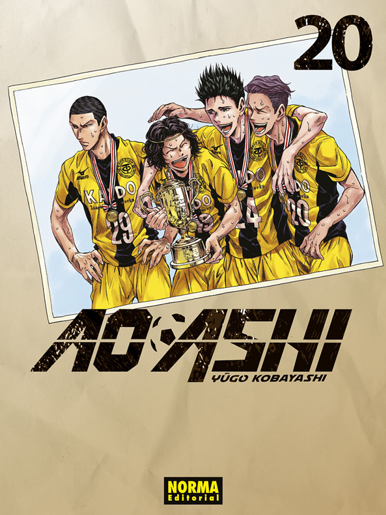 AO ASHI 20 - NORMA 1