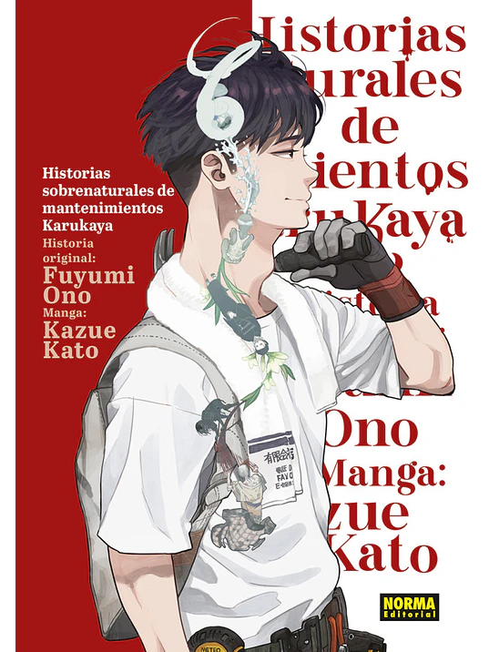HISTORIAS SOBRENATURALES DE MANTENIMIENTOS DE KARUKAYA - NORMA 1