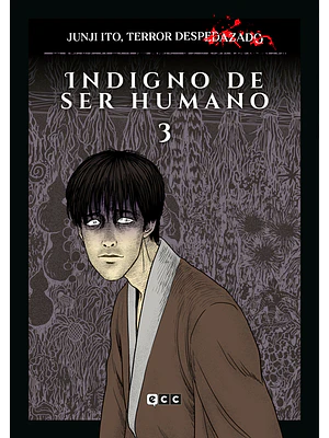JUNJI ITO, TERROR DESPEDAZADO 23 DE 28 - INDIGNO DE SER HUMANO NÚM. 3 - ECC