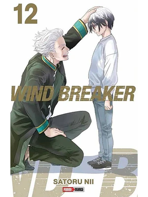 WIND BREAKER 12 - PANINI ARGENTINA
