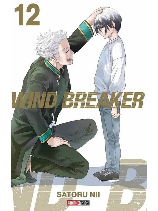 WIND BREAKER 12 - PANINI ARGENTINA 1