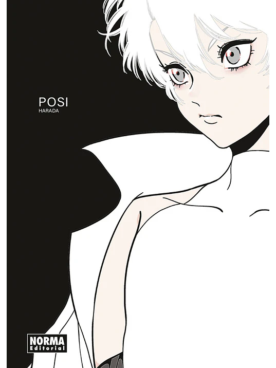 POSI - NORMA 1