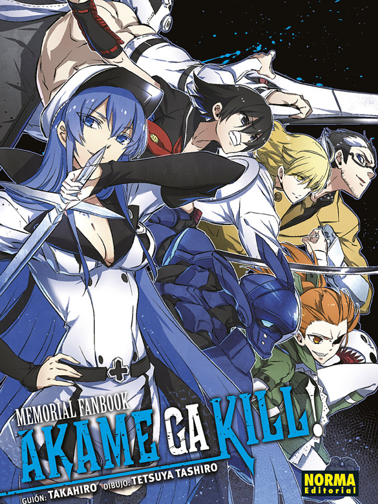 AKAME GA KILL MEMORIAL FANBOOK - NORMA 1