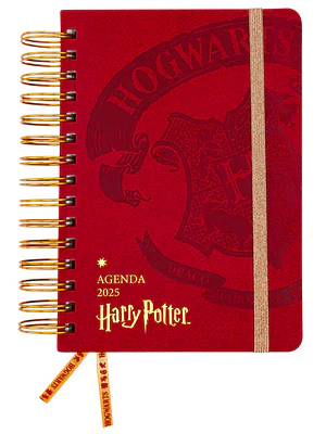 AGENDA HARRY POTTER 2025 - MOOVING