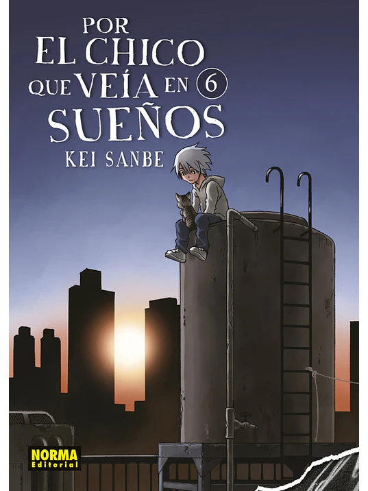 POR EL CHICO QUE VEIA EN SUENOS 06 - NORMA 1