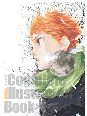 HAIKYUU COMPLETE ILLUSTRATION BOOK - JAPÓN