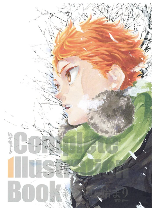 HAIKYUU COMPLETE ILLUSTRATION BOOK - JAPÓN 1