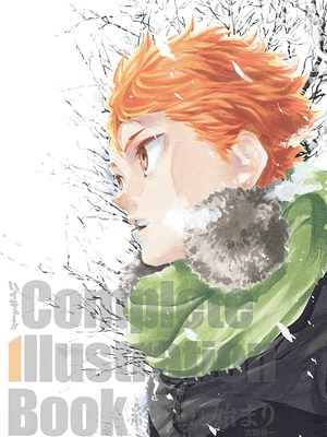 HAIKYUU COMPLETE ILLUSTRATION BOOK - JAPÓN
