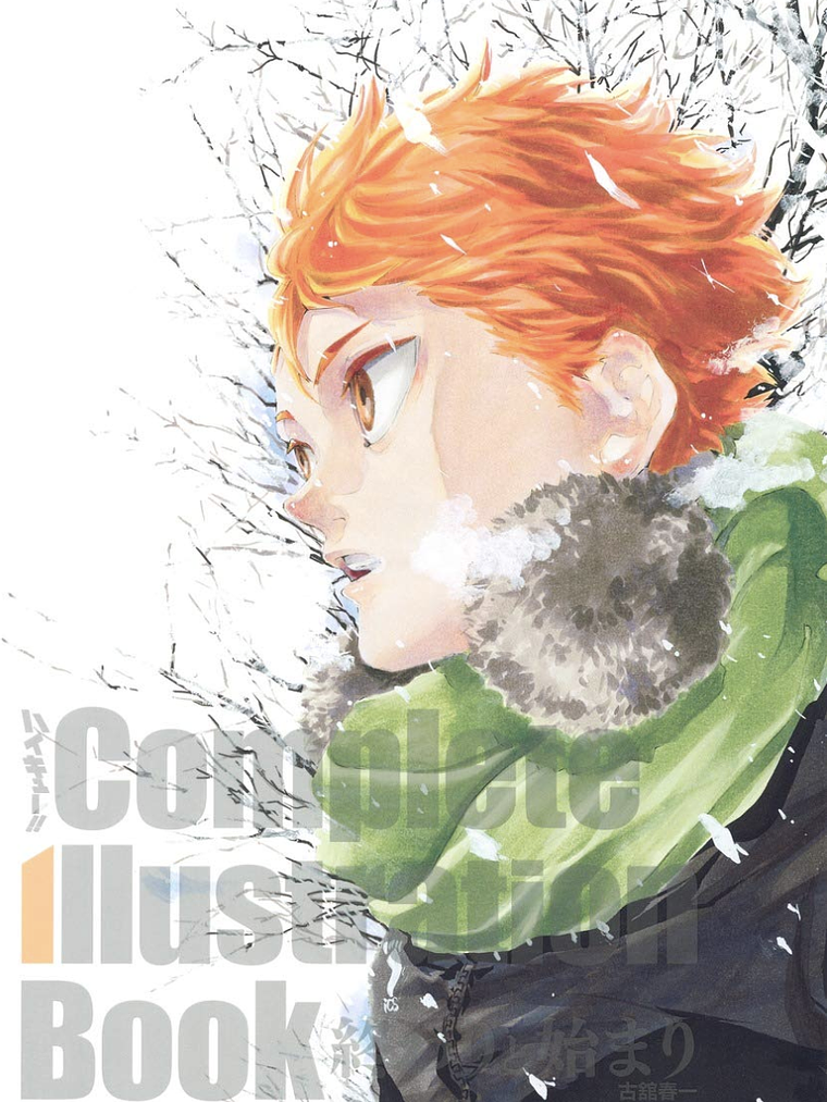 HAIKYUU COMPLETE ILLUSTRATION BOOK - JAPÓN 1