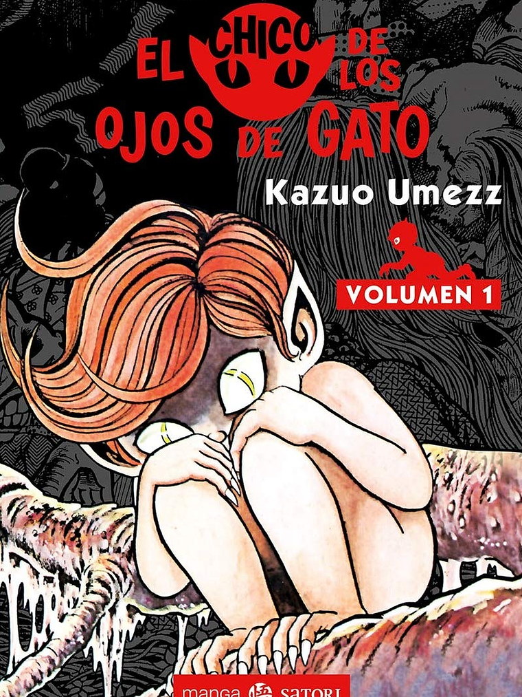 EL CHICO CON LOS OJOS DE GATO 01 - SATORI 1