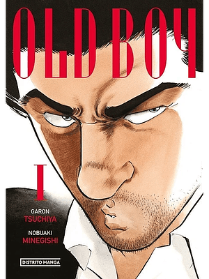OLD BOY EDICI_ COLECCIONISTA 01 - DISTRITO MANGA