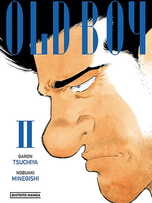 OLD BOY EDICION COLECCIONISTA 02 - DISTRITO MANGA