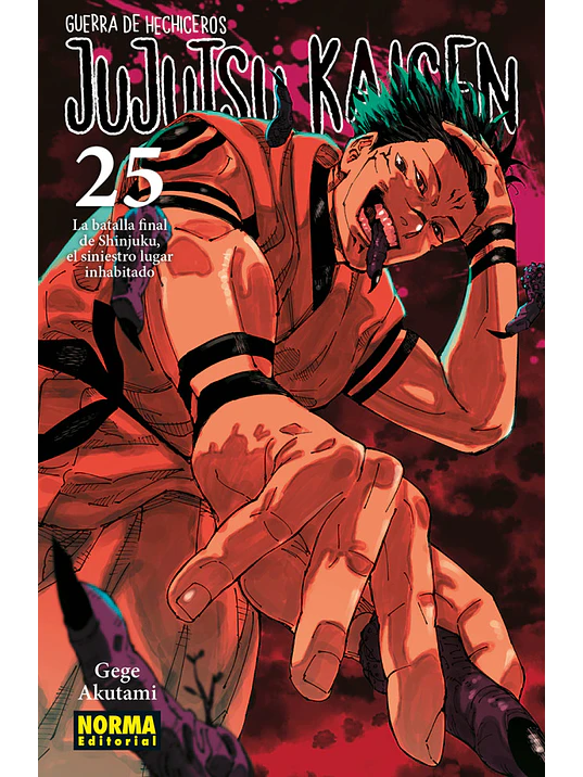 JUJUTSU KAISEN 25 - NORMA 1