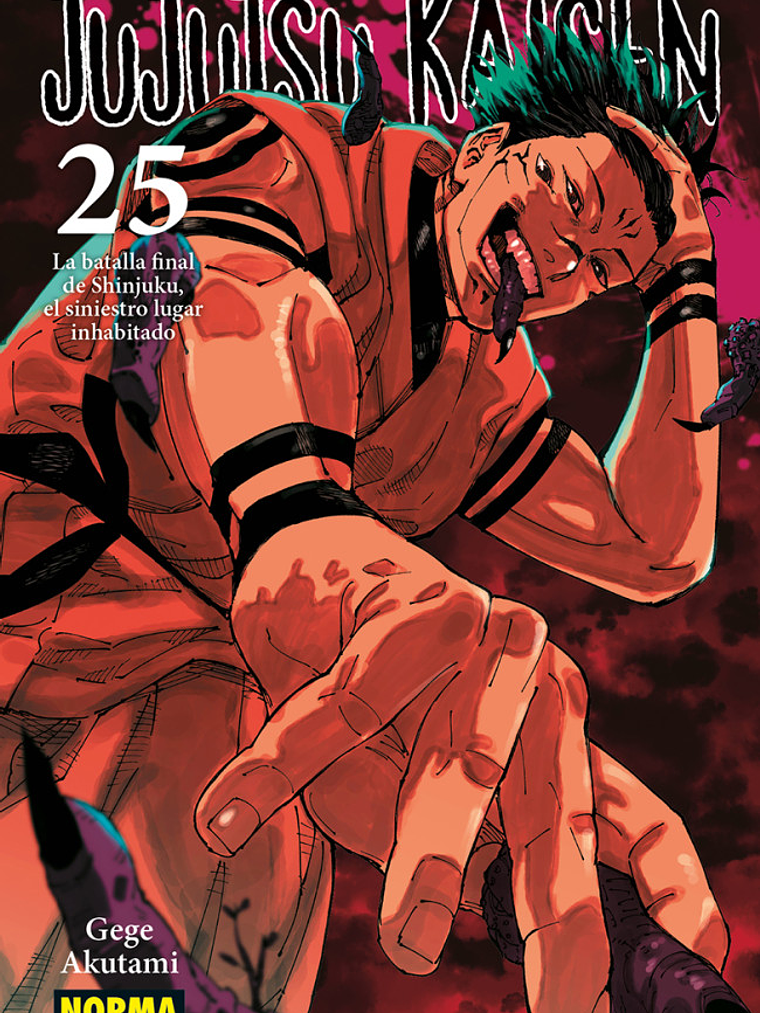 JUJUTSU KAISEN 25 - NORMA 1