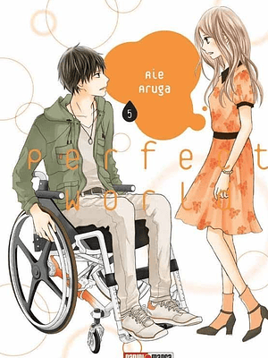 PERFECT WORLD 05 - PANINI ARGENTINA