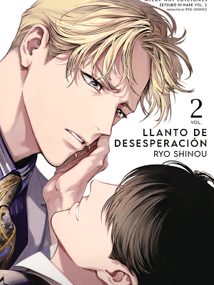 LLANTO DE DESESPERACIÓN 02 - MILKY WAY