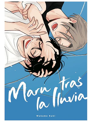 MARU TRAS LA LLUVIA - ARECHI