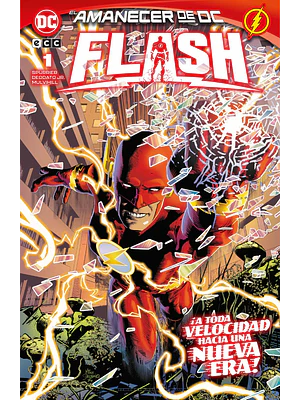 FLASH NÚM. 1/ 90 - ECC