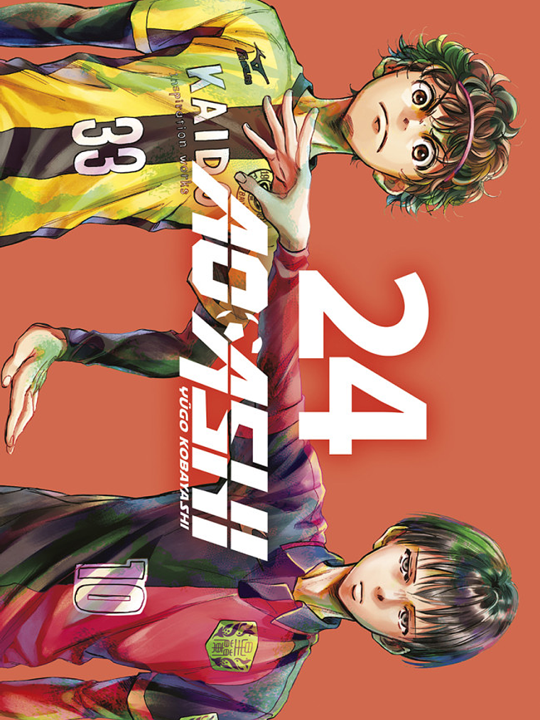 AO ASHI 24 - NORMA 1