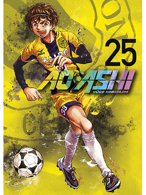AO ASHI 25 - NORMA