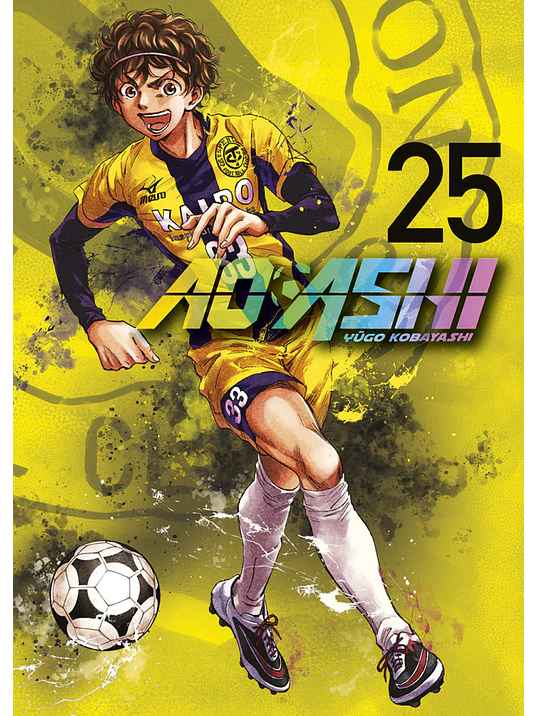 AO ASHI 25 - NORMA 1