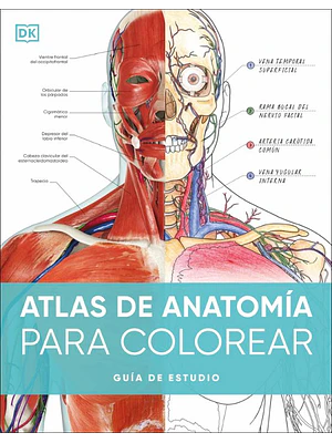 ATLAS DE ANATOMÍA PARA COLOREAR - DK