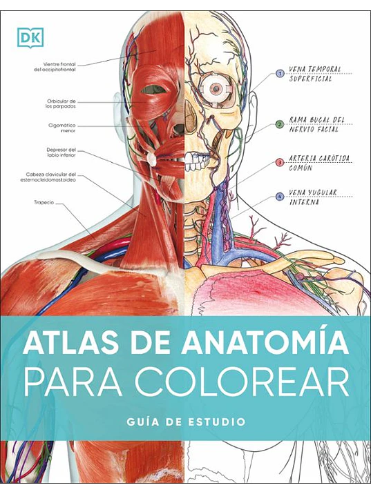 ATLAS DE ANATOMÍA PARA COLOREAR - DK 1