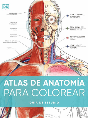 ATLAS DE ANATOMÍA PARA COLOREAR - DK