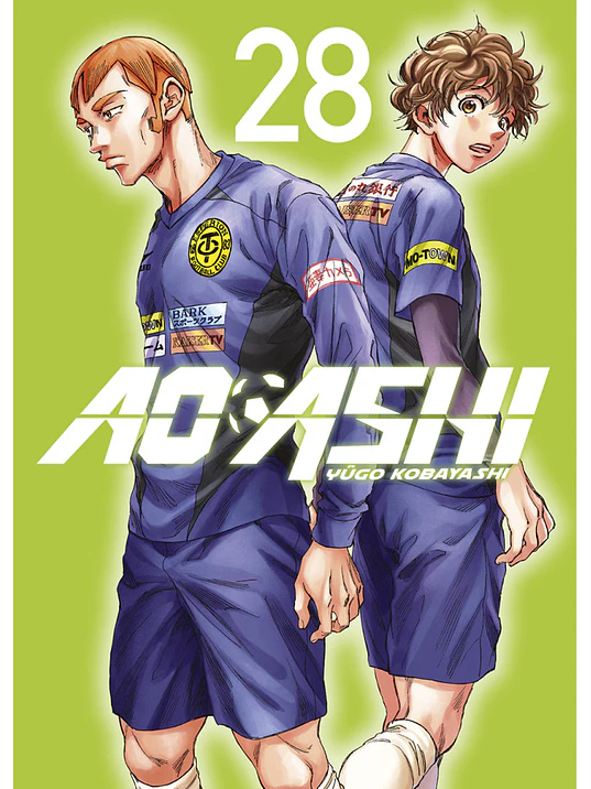 AO ASHI 28 - NORMA 1