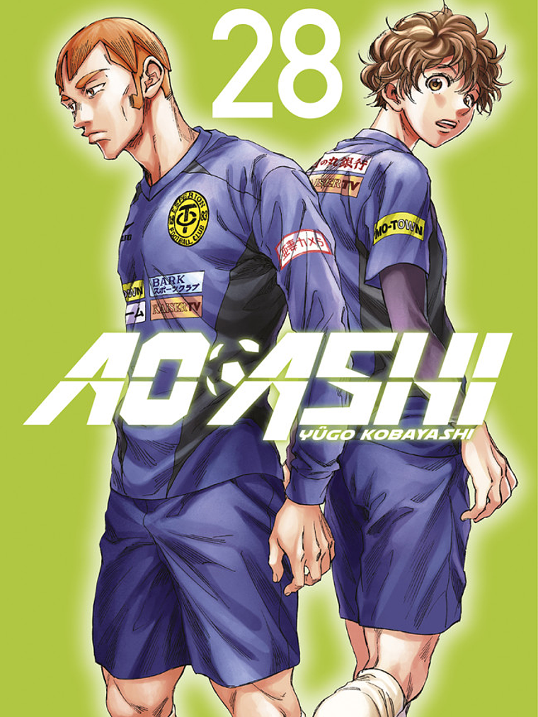 AO ASHI 28 - NORMA 1