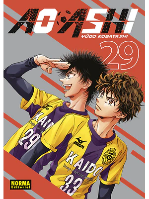 AO ASHI 29 - NORMA