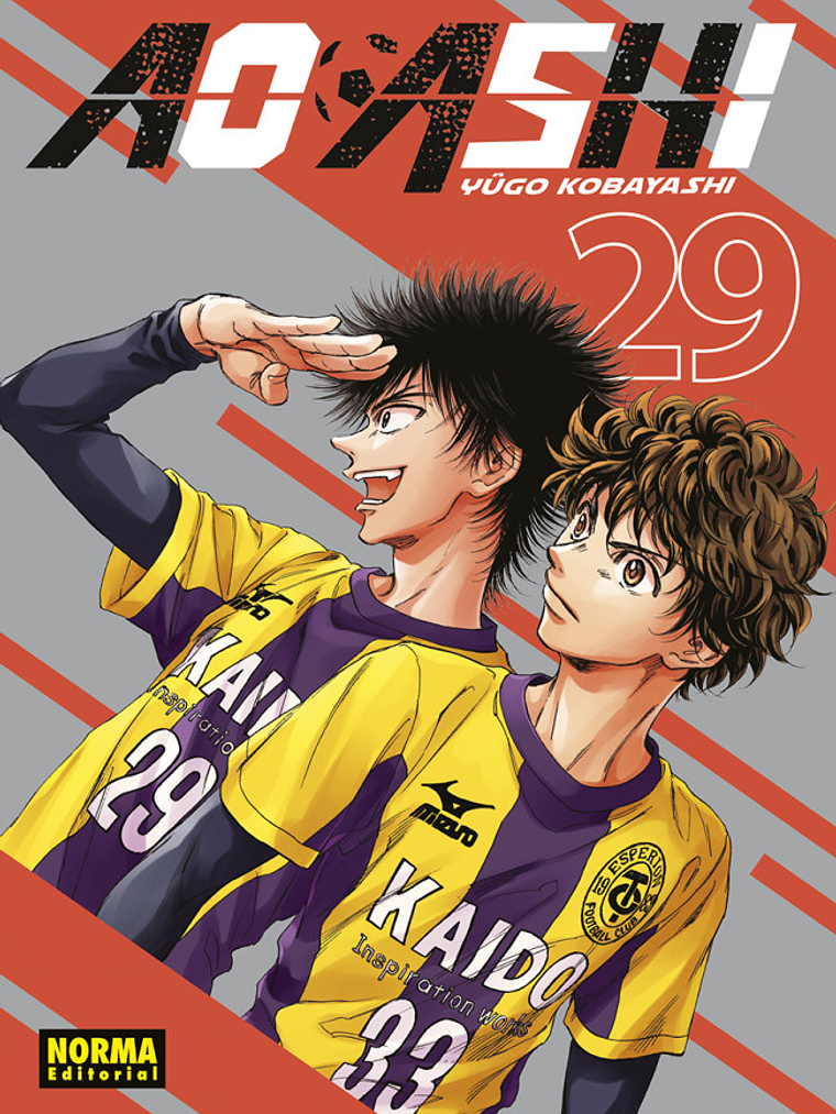 AO ASHI 29 - NORMA 1