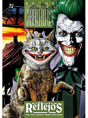 BATMAN: REFLEJOS - OVNIPRESS
