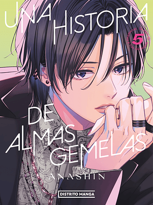 UNA HISTORIA DE ALMAS GEMELAS 05 - DISTRITO MANGA