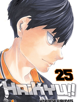 HAIKYU 25 - IVREA ARGENTINA
