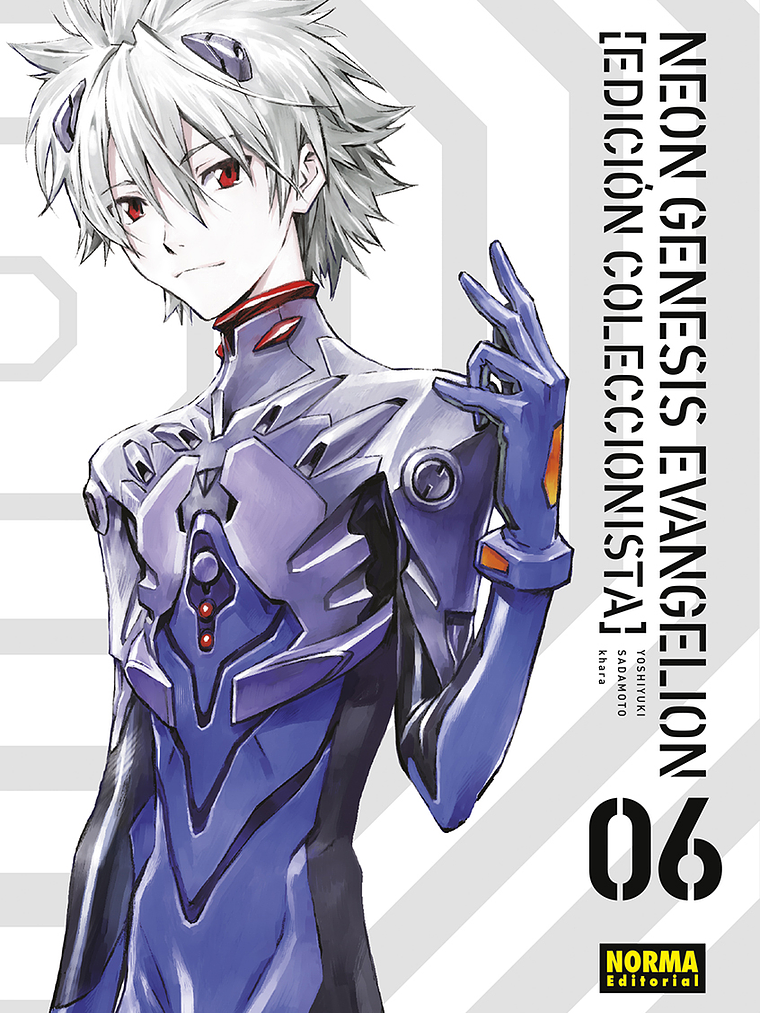 NEON GENESIS EVANGELION EDICION COLECCIONISTA 06 - NORMA 1