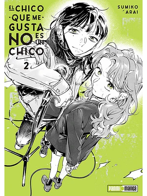 EL CHICO QUE ME GUSTA NO ES UN CHICO 02 - PANINI ESPANA