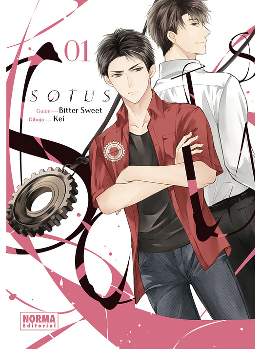 SOTUS 01 - NORMA 1