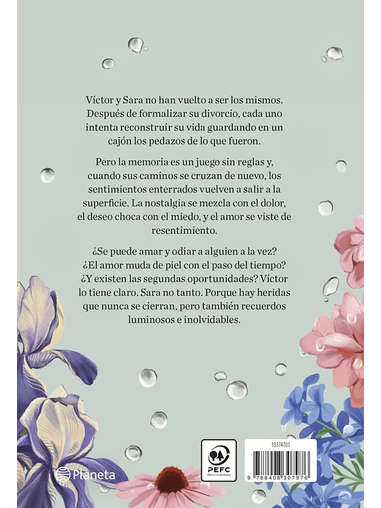 SIGUE LLOVIENDO - PLANETA 3