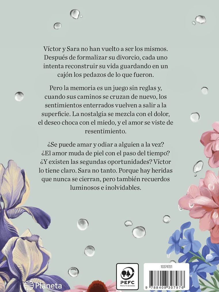 SIGUE LLOVIENDO - PLANETA 3