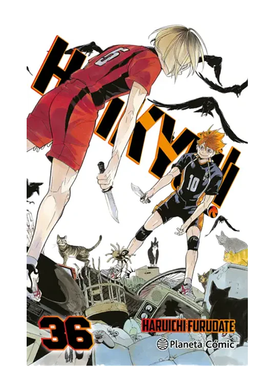 HAIKYU 36 - PLANETA 1