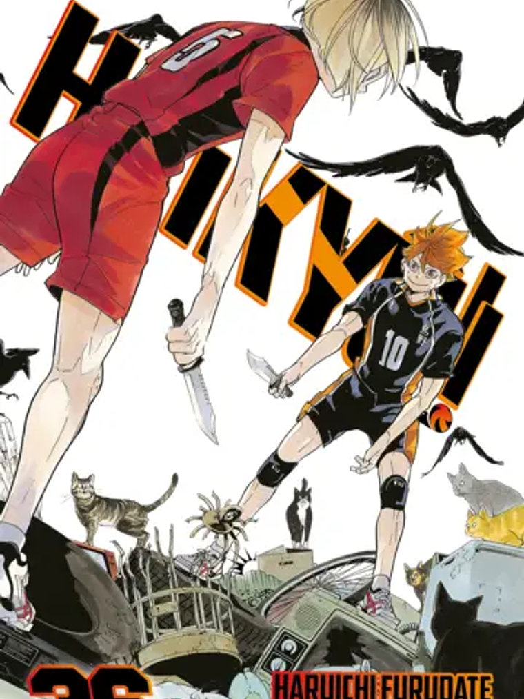 HAIKYU 36 - PLANETA 1
