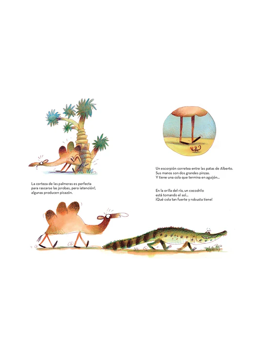 EL CAMELLO ALBERTO - PLANETA JUNIOR 5