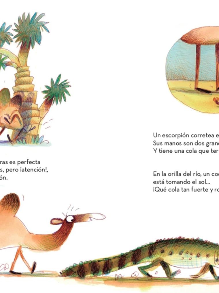 EL CAMELLO ALBERTO - PLANETA JUNIOR 5