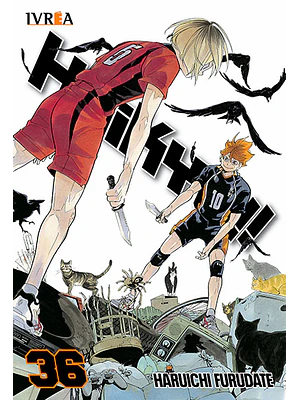 HAIKYU 36