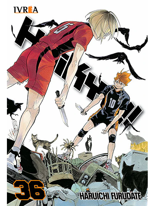 HAIKYU 36 1